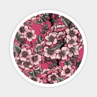 Cherry blossom on pink Magnet